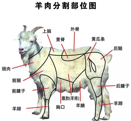 羊肉分割不同的部位及烹饪方法