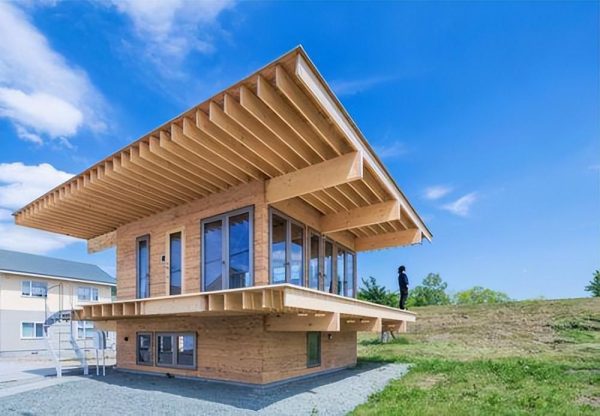 北朝林木的作用这么大，不光可以建房，竟然还可以用来美容？