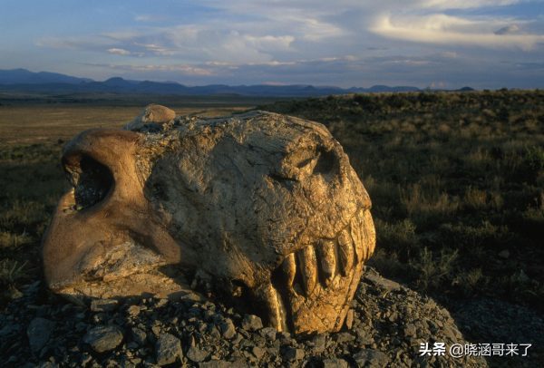 人类消失1万年后，地球会变成什么样子？