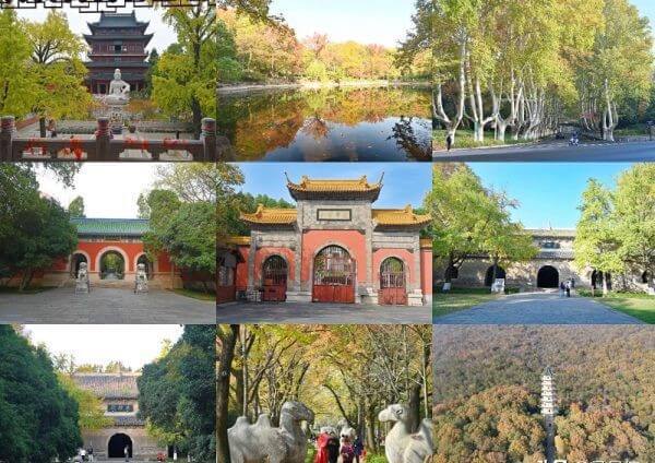 真没想到!原来南京不只有夫子庙玄武湖,这3个景点冬天来旅行更美