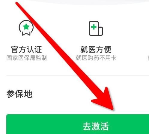 怎么申领上海医保电子凭证