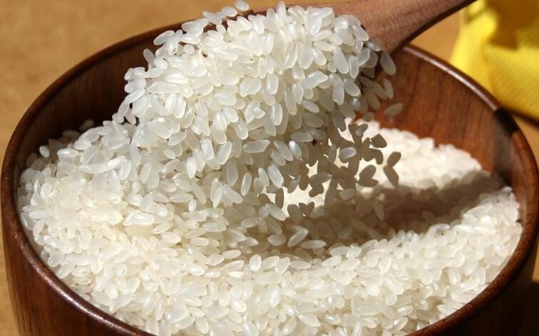 明水香稻