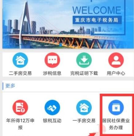 重庆居民医保网上怎么缴费
