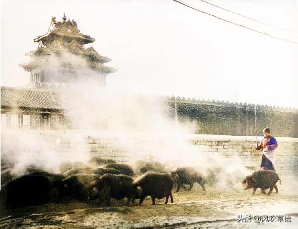1928年的北京街头，黑猪过处黄尘四起，茶馆门前“葛大爷”现身