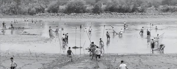 1957年，工人在西湖发现精美金龙，专家考察来历：这是北宋重宝