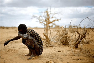 全球饥荒人数破纪录，粮食产量那么高，为何每天仍有8亿人挨饿？