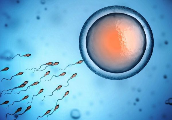 上亿精子只有一个能和卵子结合！那些被淘汰的精子，最后去了哪？