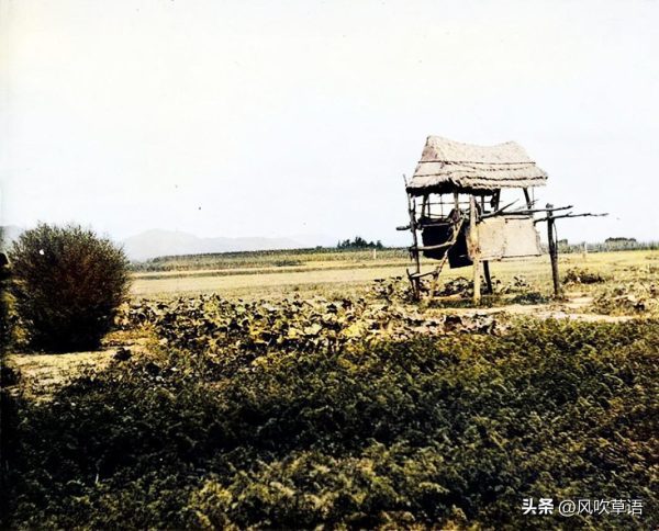 1907年9月，一个美国人镜头里的泰安府和博山县（今淄博博山区）