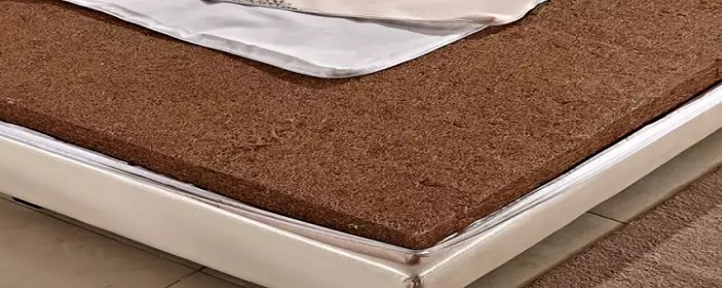 棕床垫生虫子怎么办