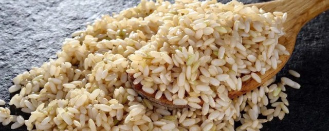 糙米可以天天吃吗