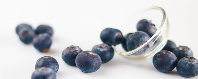 蓝莓多久才熟透
