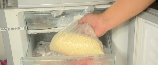 大米能冷冻保存吗 大米适合冰箱冷冻保存吗