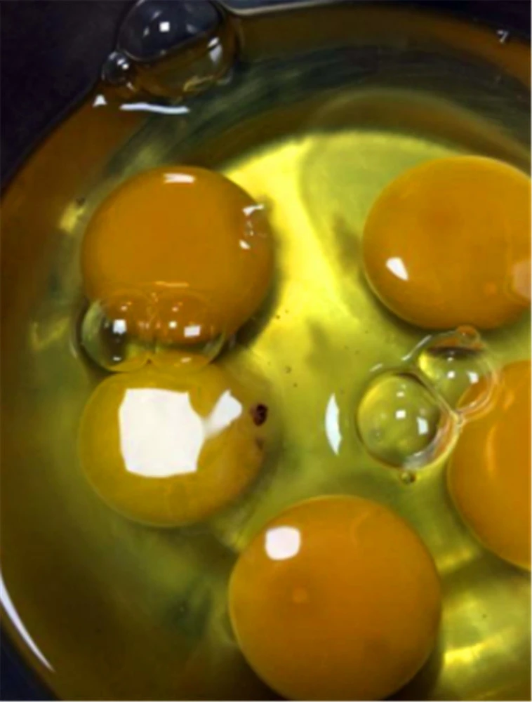 鸡蛋上有好多黑点能吃吗 煮鸡蛋的蛋黄上有黑色物质，会影响健康吗？