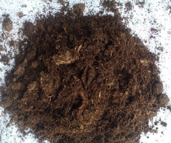 泥炭土和草炭土的区别是什么