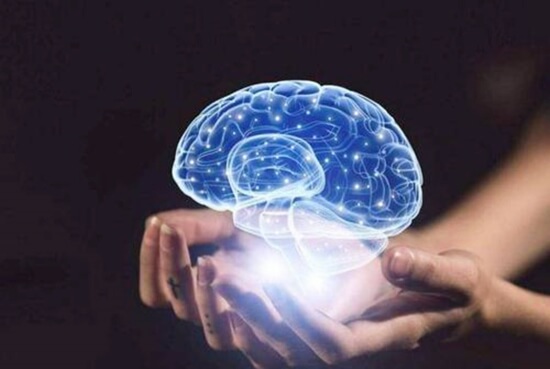 人类的大脑的7种基本能力，如何”开发“这七大能力