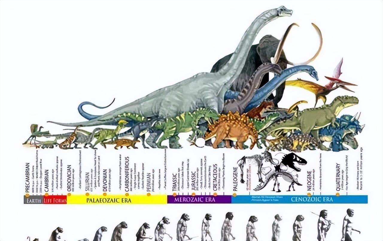 人类百万年就进化出智慧文明，为何上亿年的恐龙没能进化出智慧？