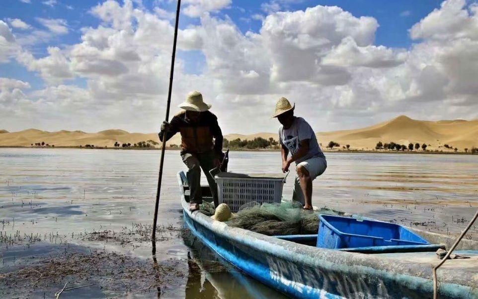 你吃的螃蟹，其实来自沙漠？新疆那么干旱，为何能成渔业大省？