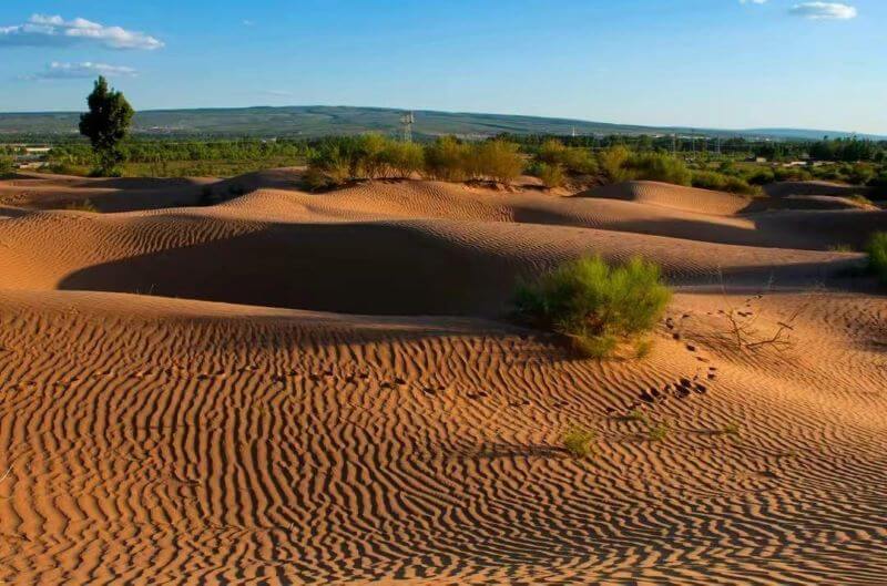 干掉千年沙漠，减少黄河年输沙量4亿吨，中国人种起树来有多狠？