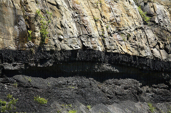 100多米厚的煤层是如何形成的？远古地球上，真有这么多植物吗？