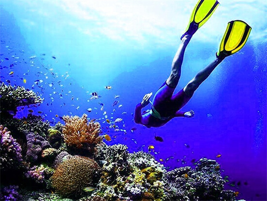 世界上最透明的海，最Top的潜水地竟然在这里！